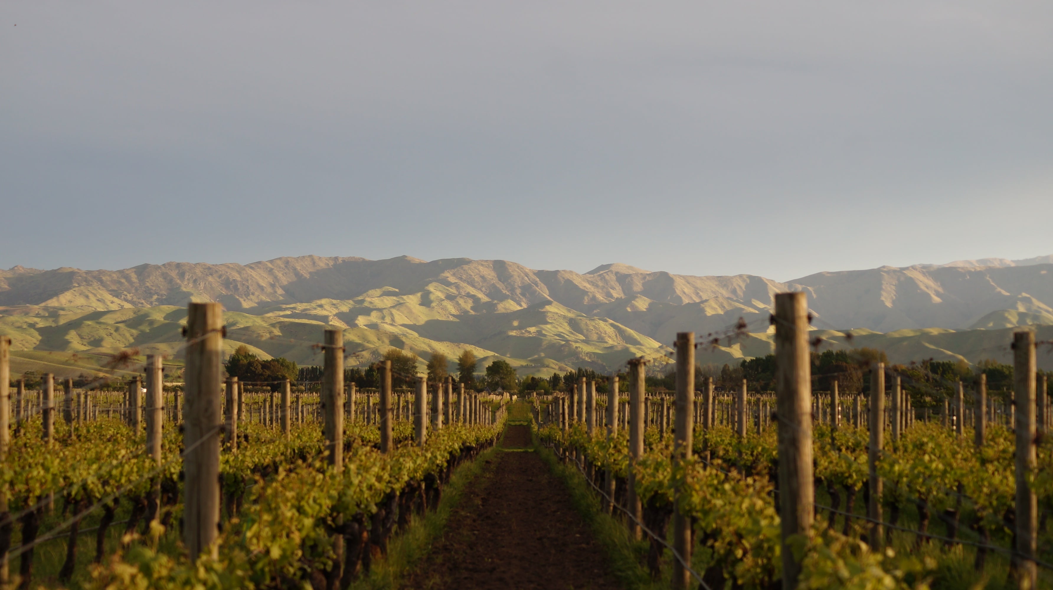 Marlborough