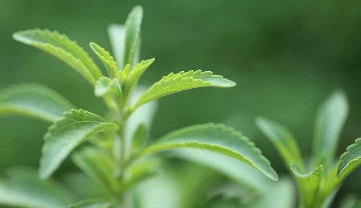 Stevia: Further improving sensory attributes