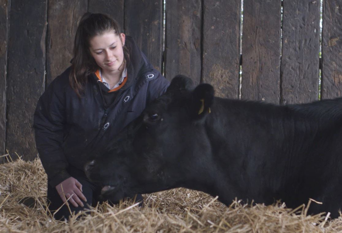 Arla Foods to accelerate its transition to sustainable dairy production