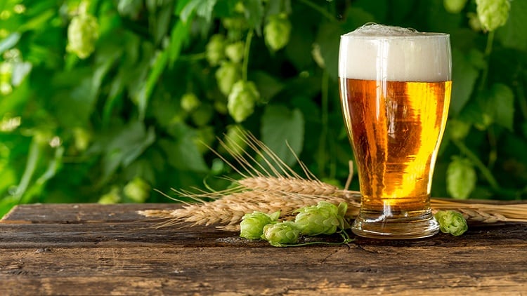 Booze you lose? Industry slams beer ad playing on probiotics and good for gut claims