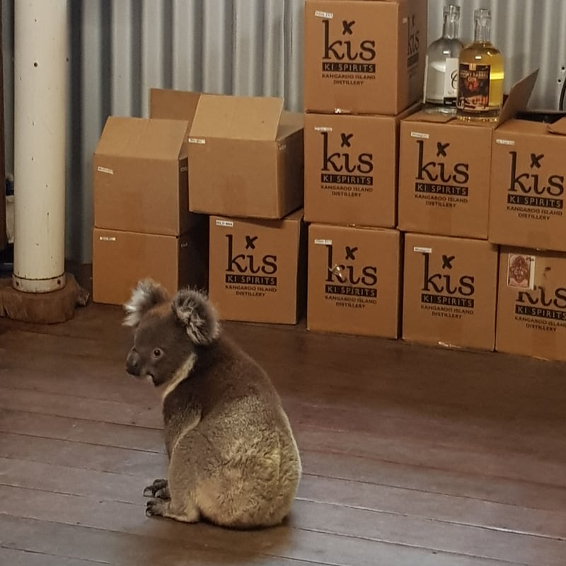 kangaroo-island-spirits-1.jpg
