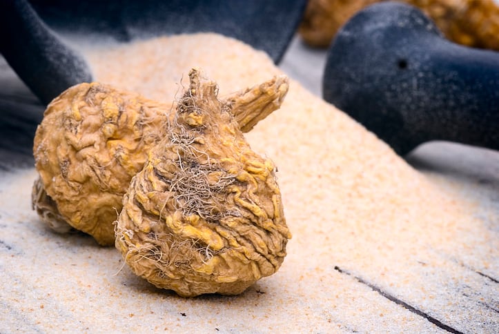 Peruvian ginseng or maca (Lepidium meyenii), dried root and powder on wooden table