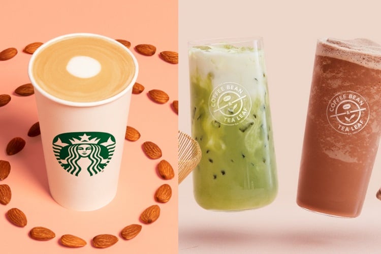 Winter coffee flavors highlighted with milk alternatives