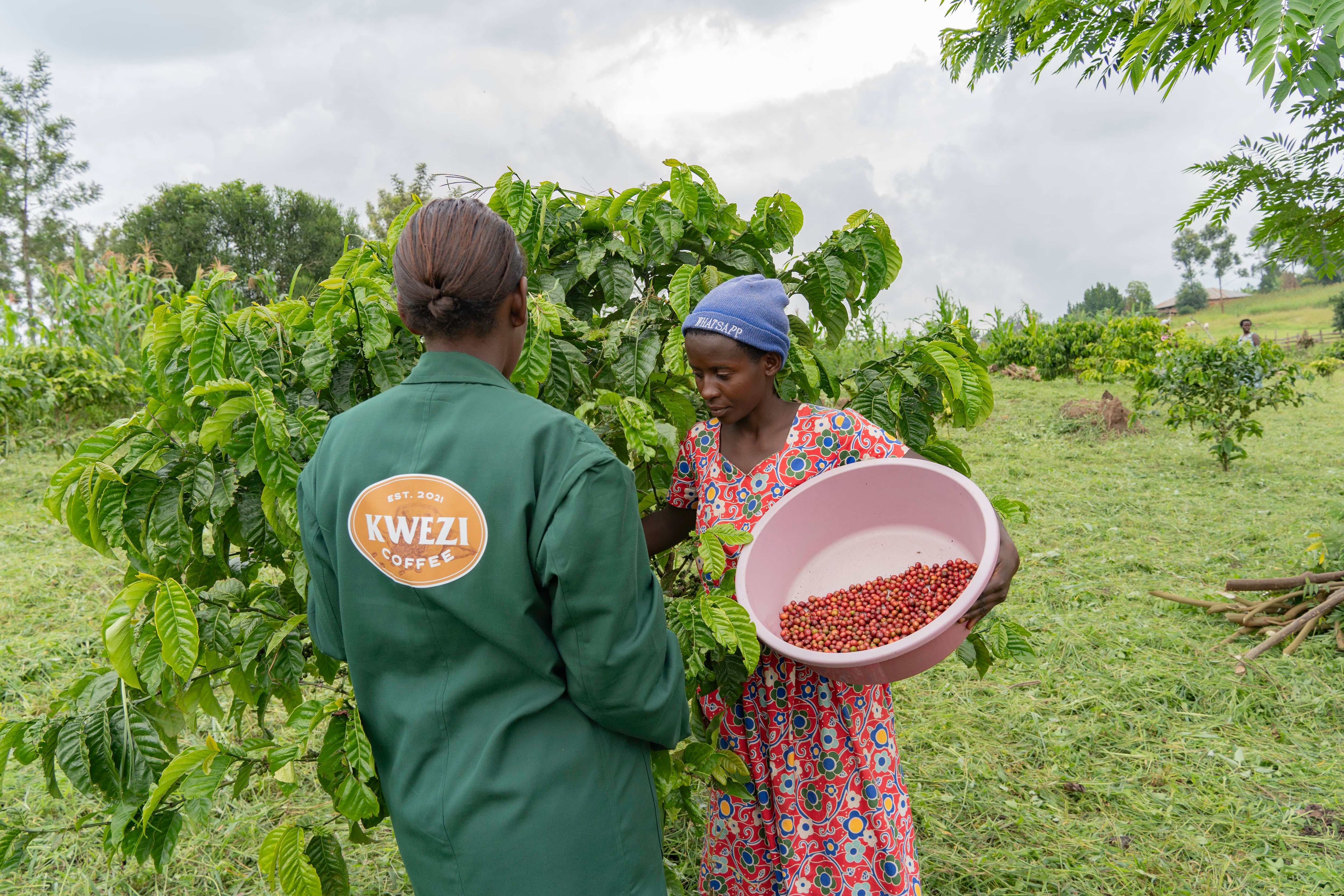 Kwezi Coffee