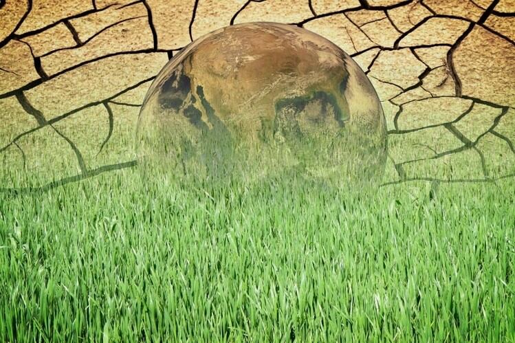 Countries-ignoring-food-systems-in-climate-action-plans_wrbm_large.jpg