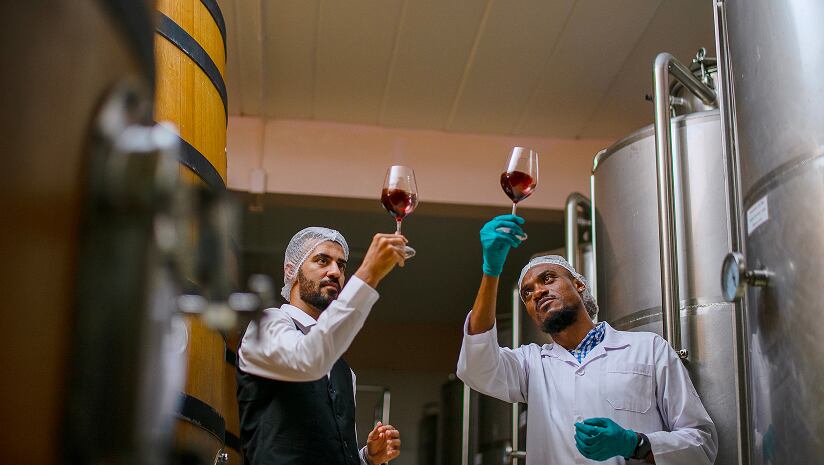 Microbiological Stability at Wine Bottling
