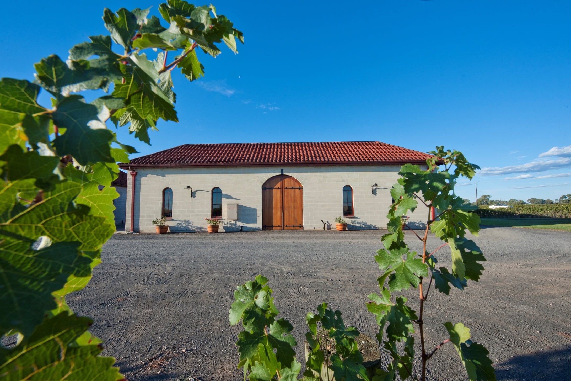 Winemaker-turned-filmmaker celebrates Cannes vigneron biography win