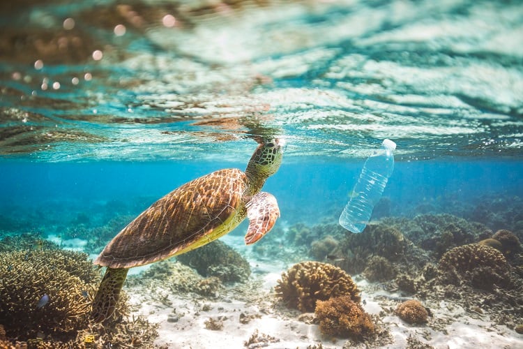 plastic-pollution-lindsay_imagery.jpg