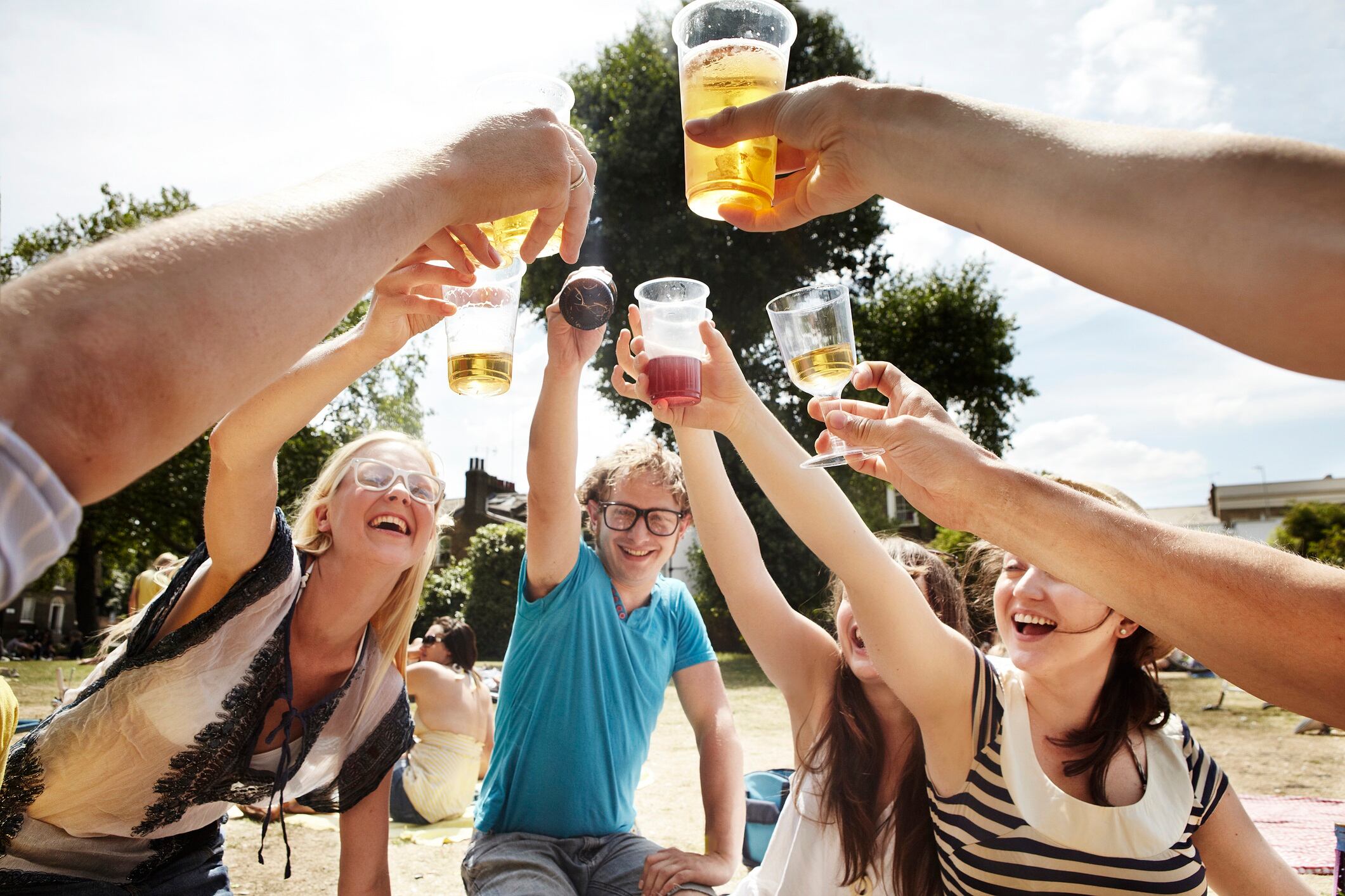 Friends raising a toast during a picnic in the park