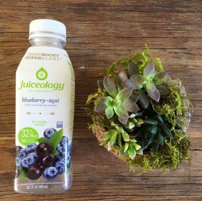Juiceology-blueberry.jpg