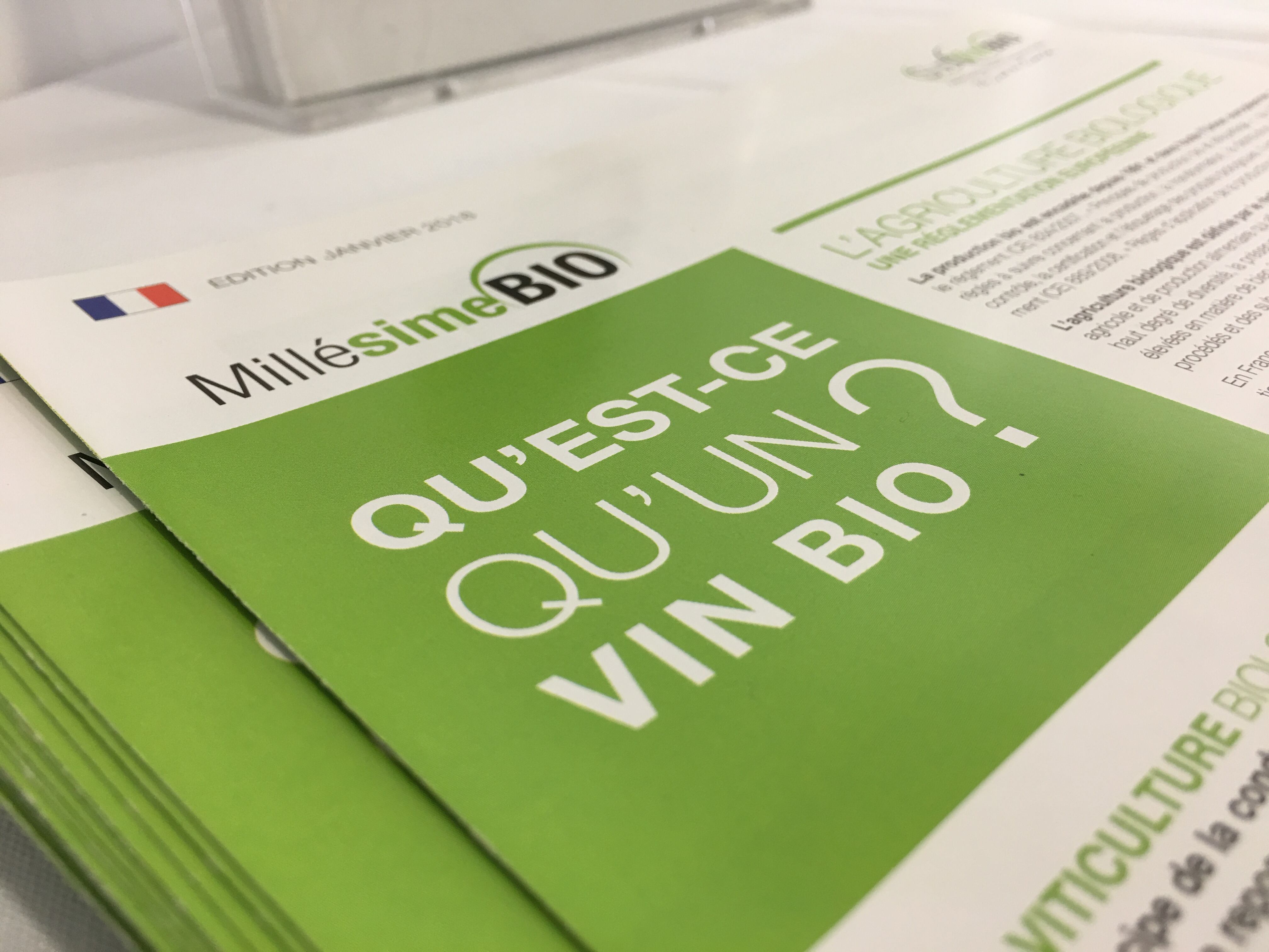 millesime-bio-what-is-an-organic-wine.jpg