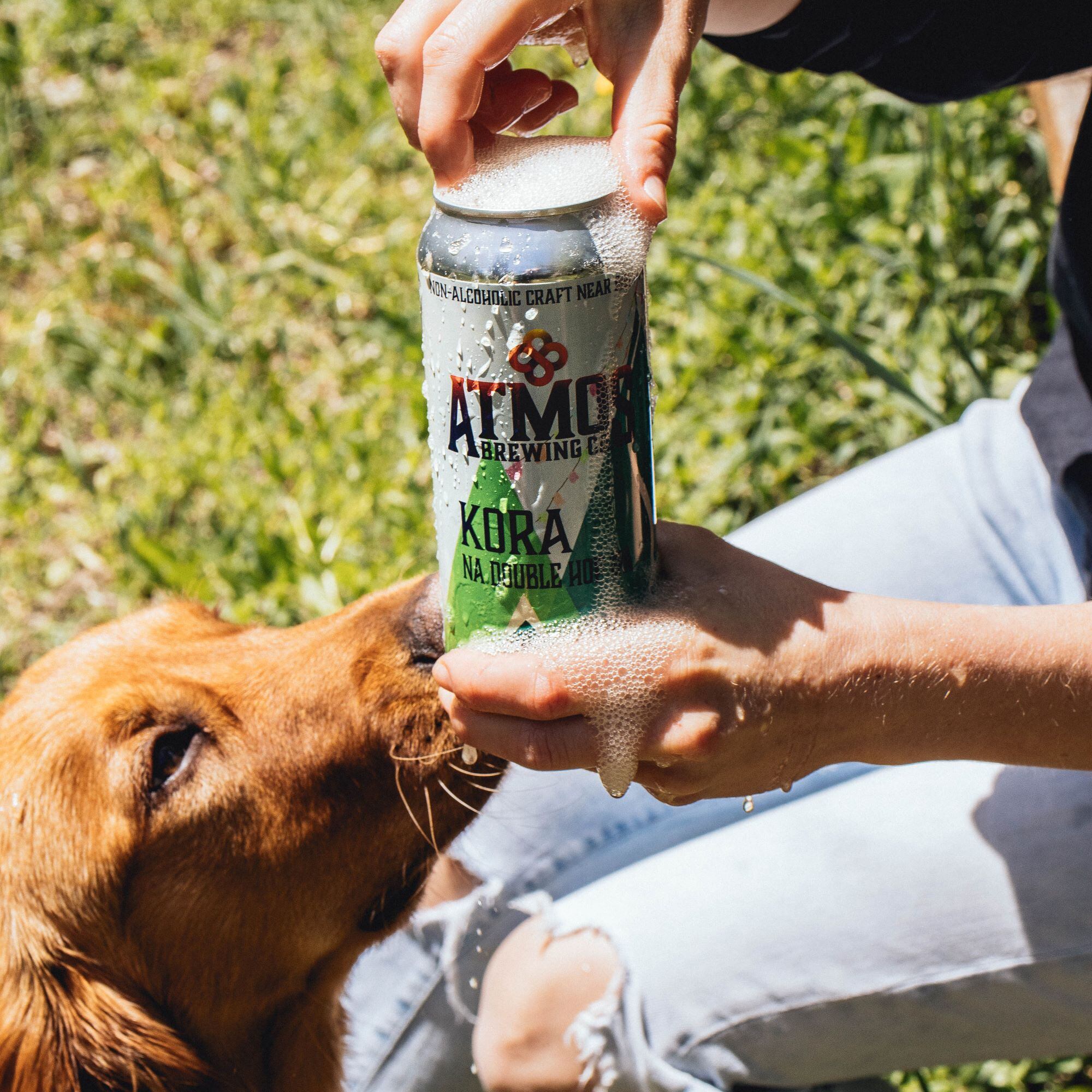 My Drynuary: 'Idaho is a pretty amazing place to brew non-alcoholic craft beer'