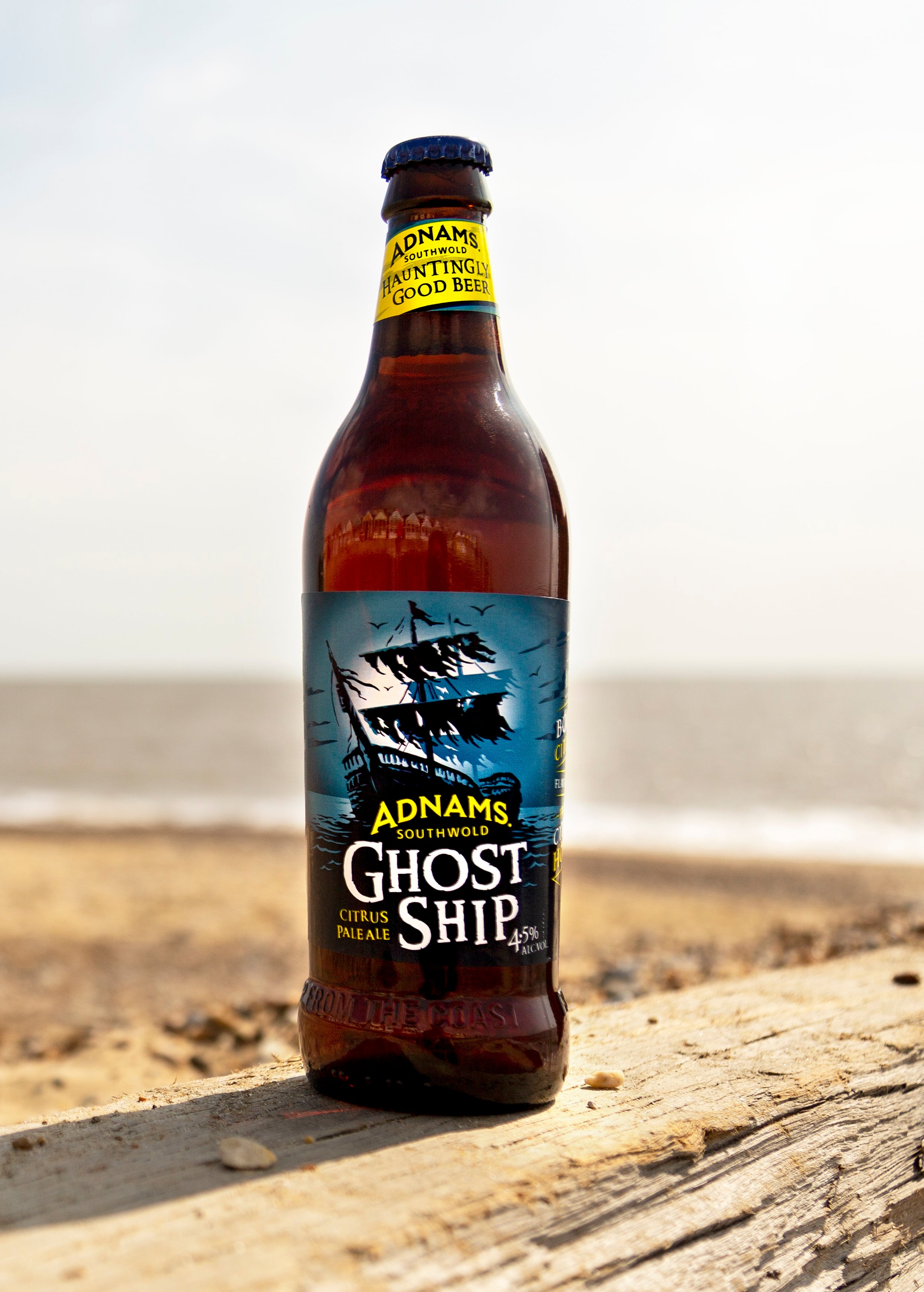 ghost-ship-old.jpg
