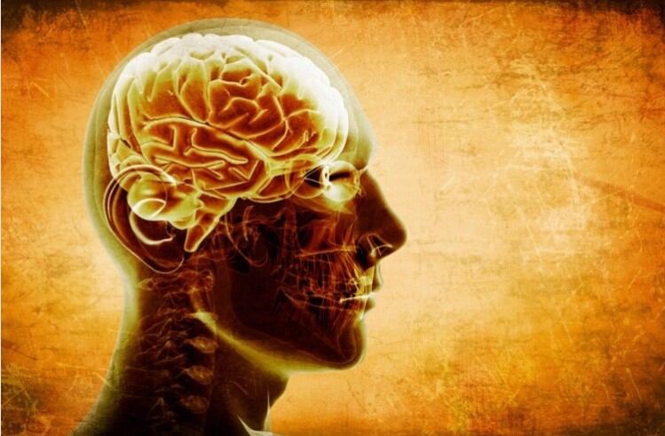 Resveratrol-may-reverse-cognitive-ageing-by-ten-years.jpg