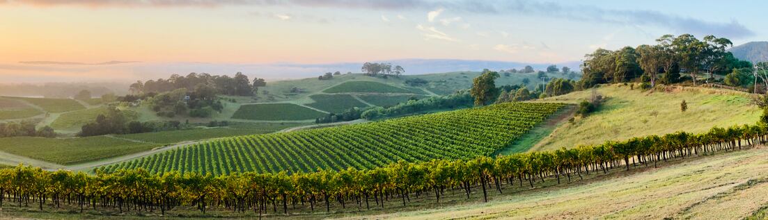 hunter-valley-panorama-getty-lynnebeclu.jpg