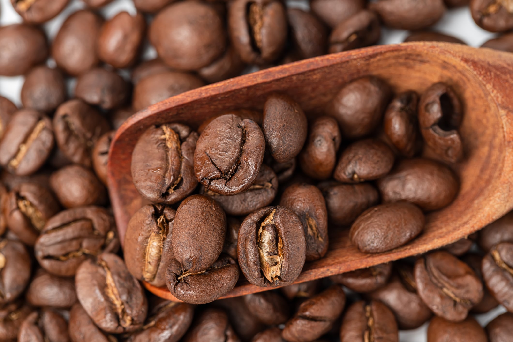 ‘No Coffee Tax Act’ offers potential reprieve for US roasters