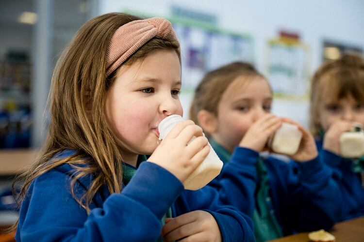 Milk in EU schools: Do fortified plant drinks have place on the menu?