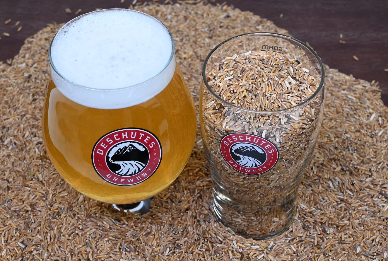 Patagonia-explores-kernza-as-regenerative-ag-innovation-in-brewing.jpg