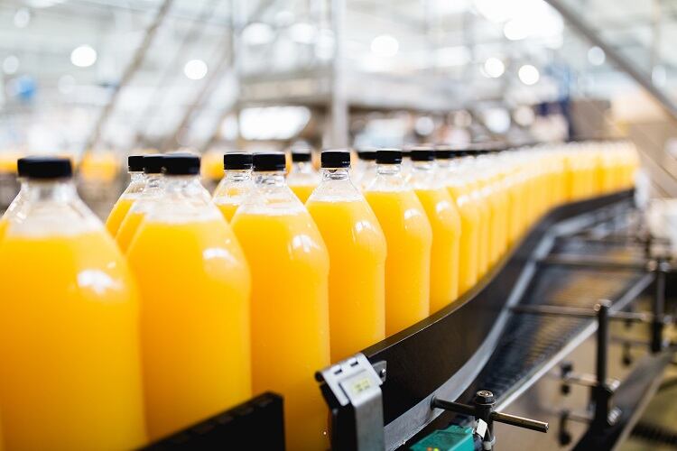 food-manufacturing-Group4-Studio.jpg