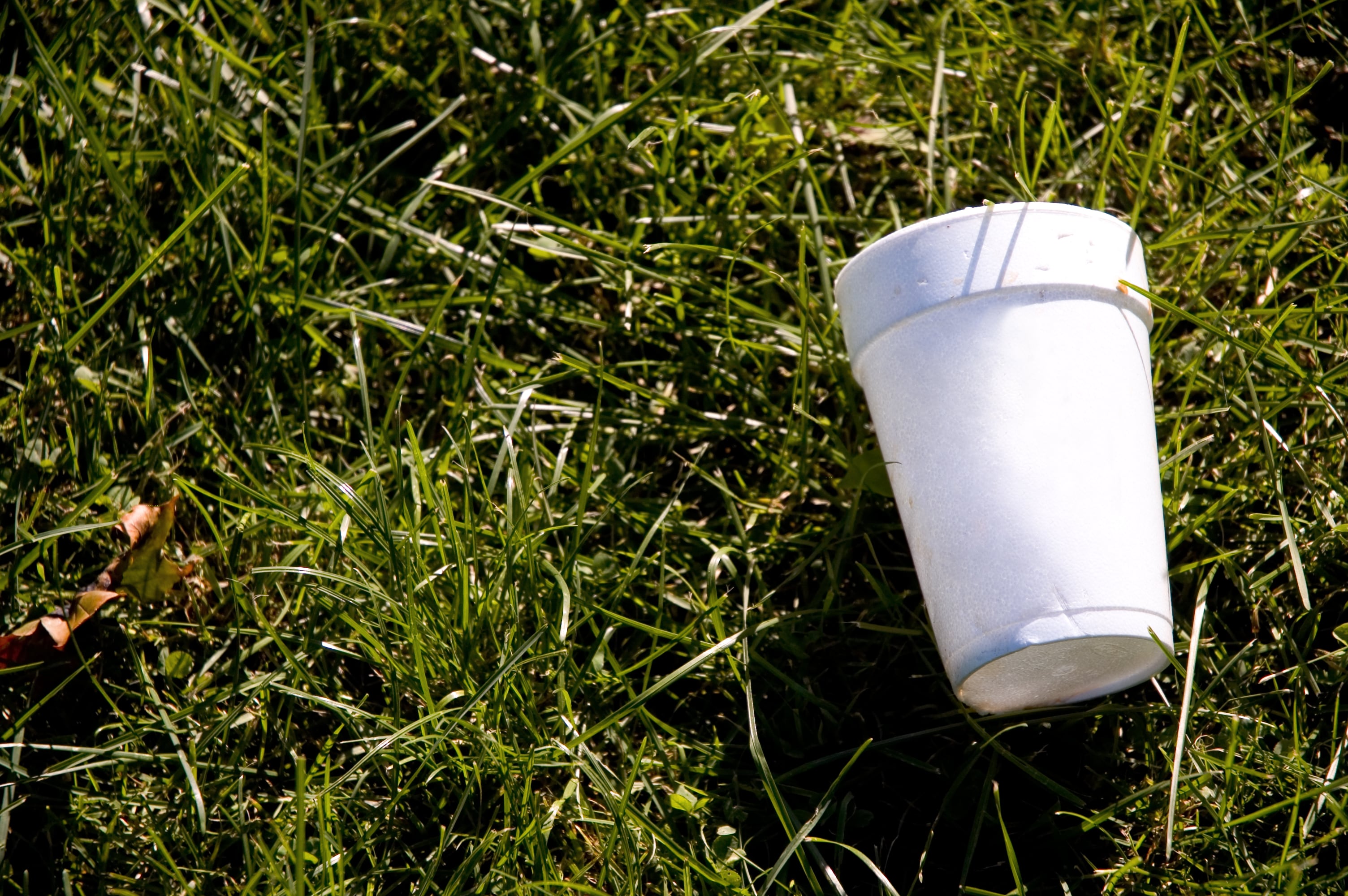 ‘No evidence’ styrene is toxic, EFSA rules