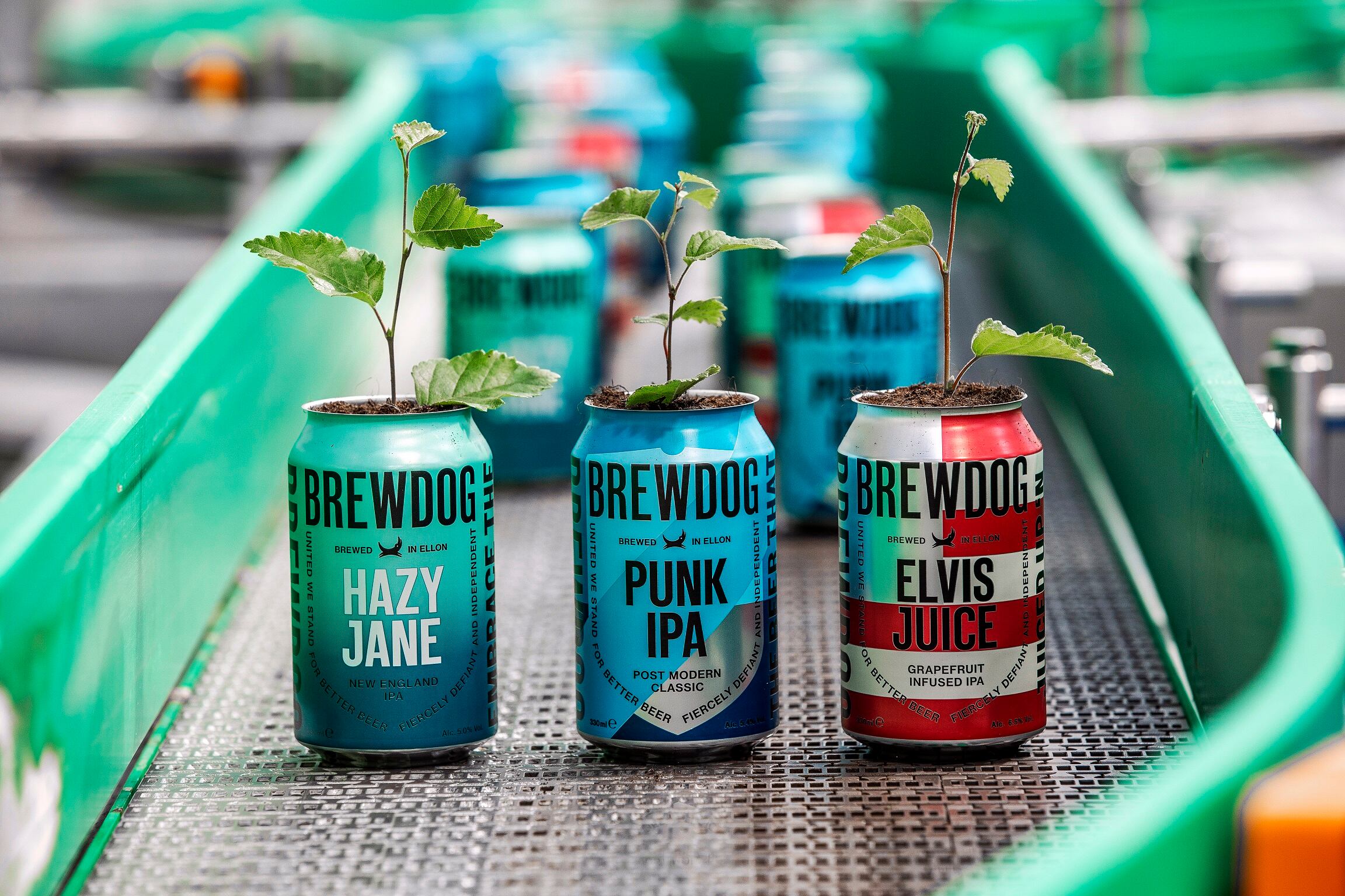 BrewDog goes carbon negative: ‘Carbon neutral is no longer enough’