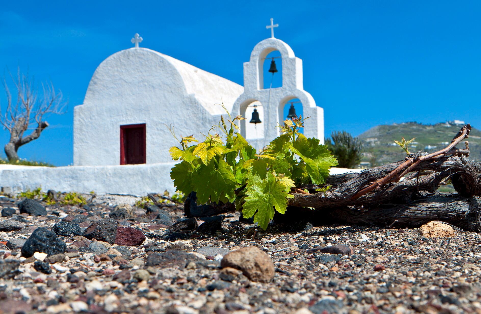 wine-santorini-getty-PanosKarapanagiotis.jpg