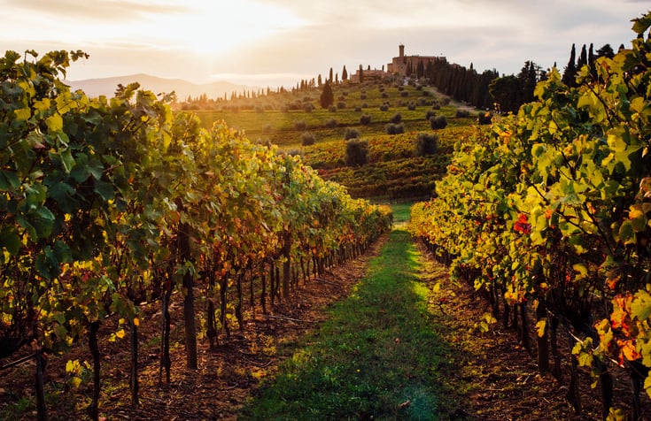 EU promises ‘swift action’ to support winemakers - but tariff threat looms large