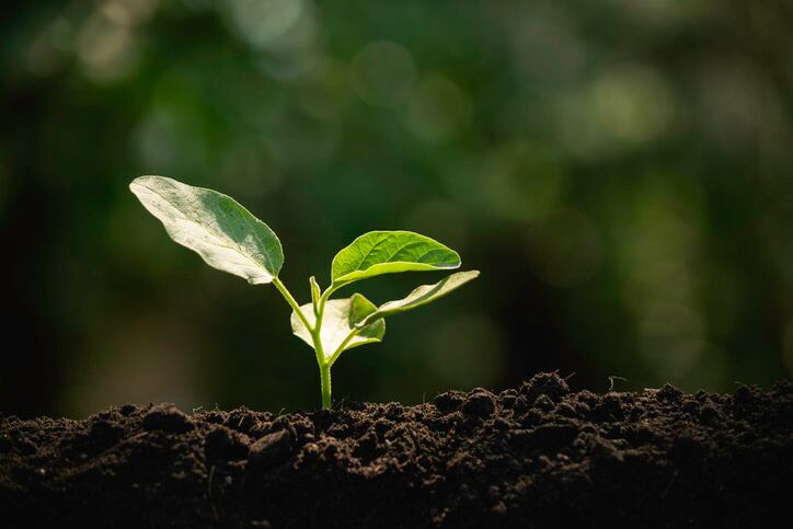 Beneo talks small changes that add up to big environmental impact