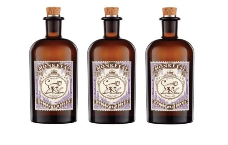 Pernod Ricard purchases remaining stake in Monkey 47 gin