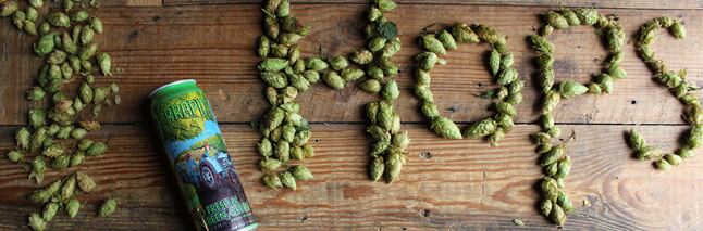TerrapinBeer.png