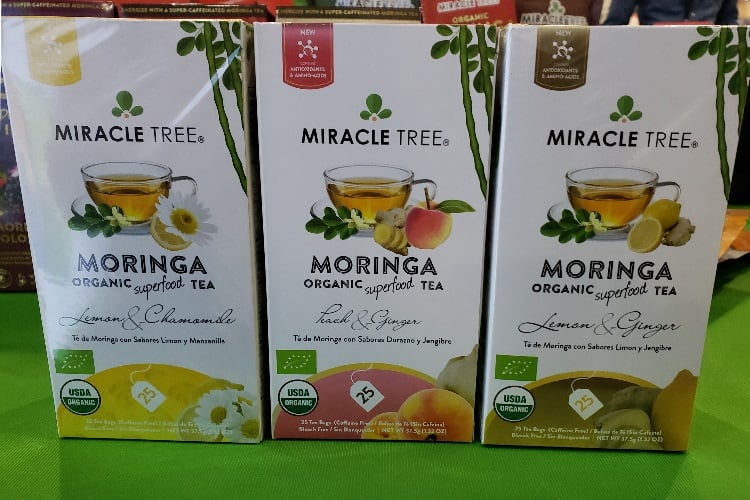 moringa-3.jpg