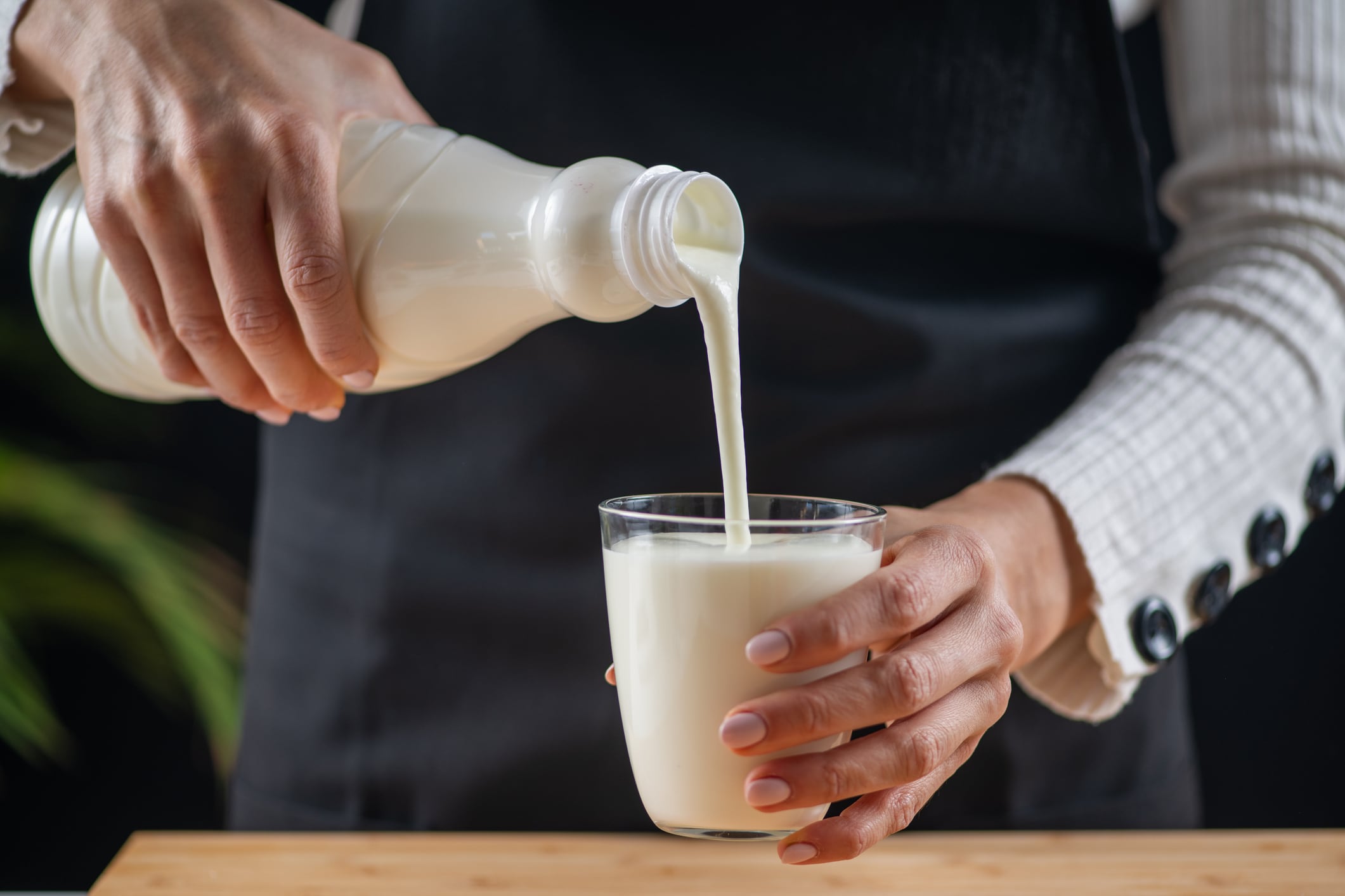 Goodness of kefir, a fermented dairy superfood drink, brimming with natural probiotics Lacto and Bifido Bacterium.