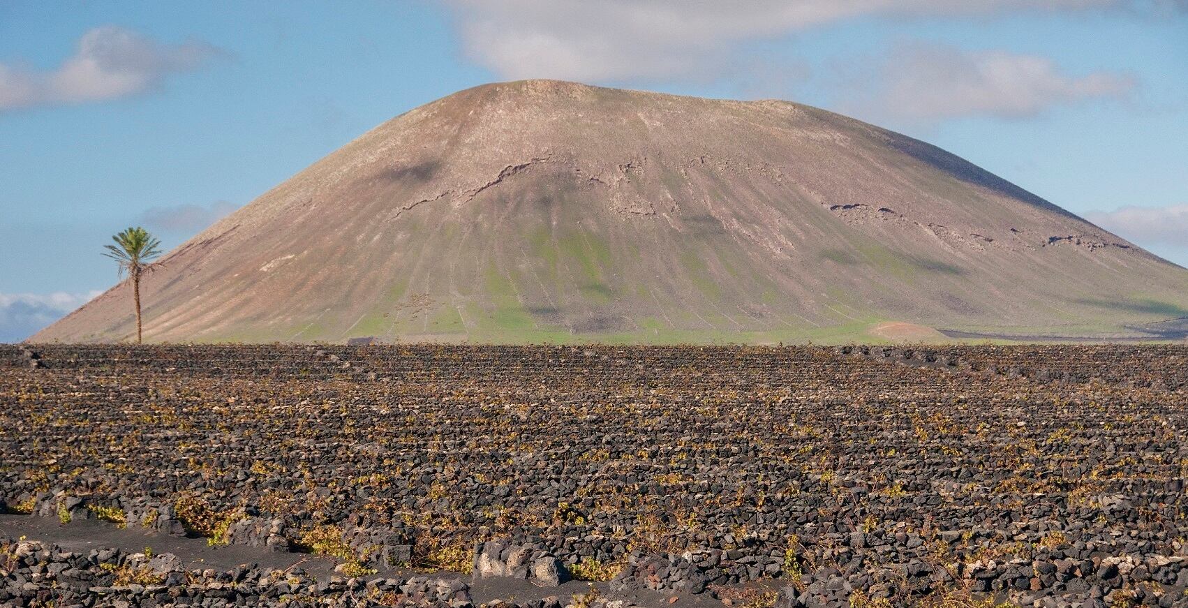 wine-volcano-lanzarote-getty-AndriusKaziliunas.jpg