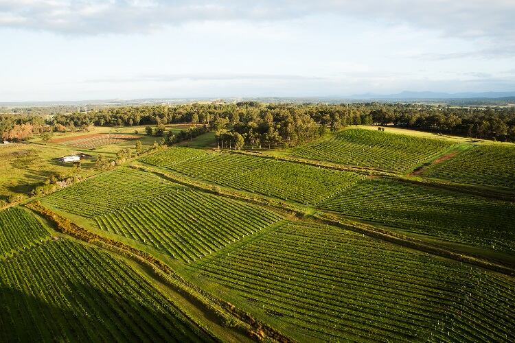 Australian wine tour comes to the US this month
