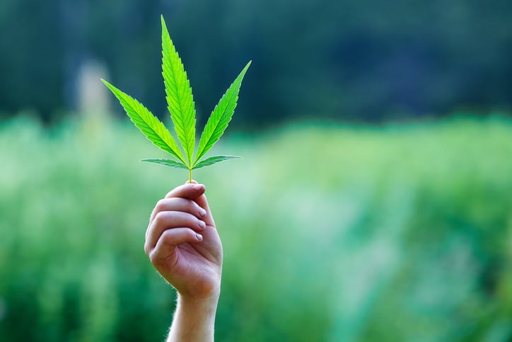AB InBev creates $100m cannabis beverage partnership in Canada