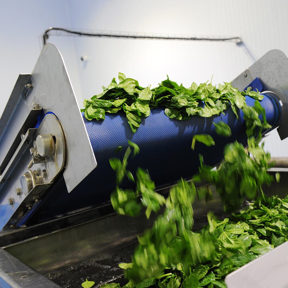 B.fresh-about-us-sq-cold-press.jpg