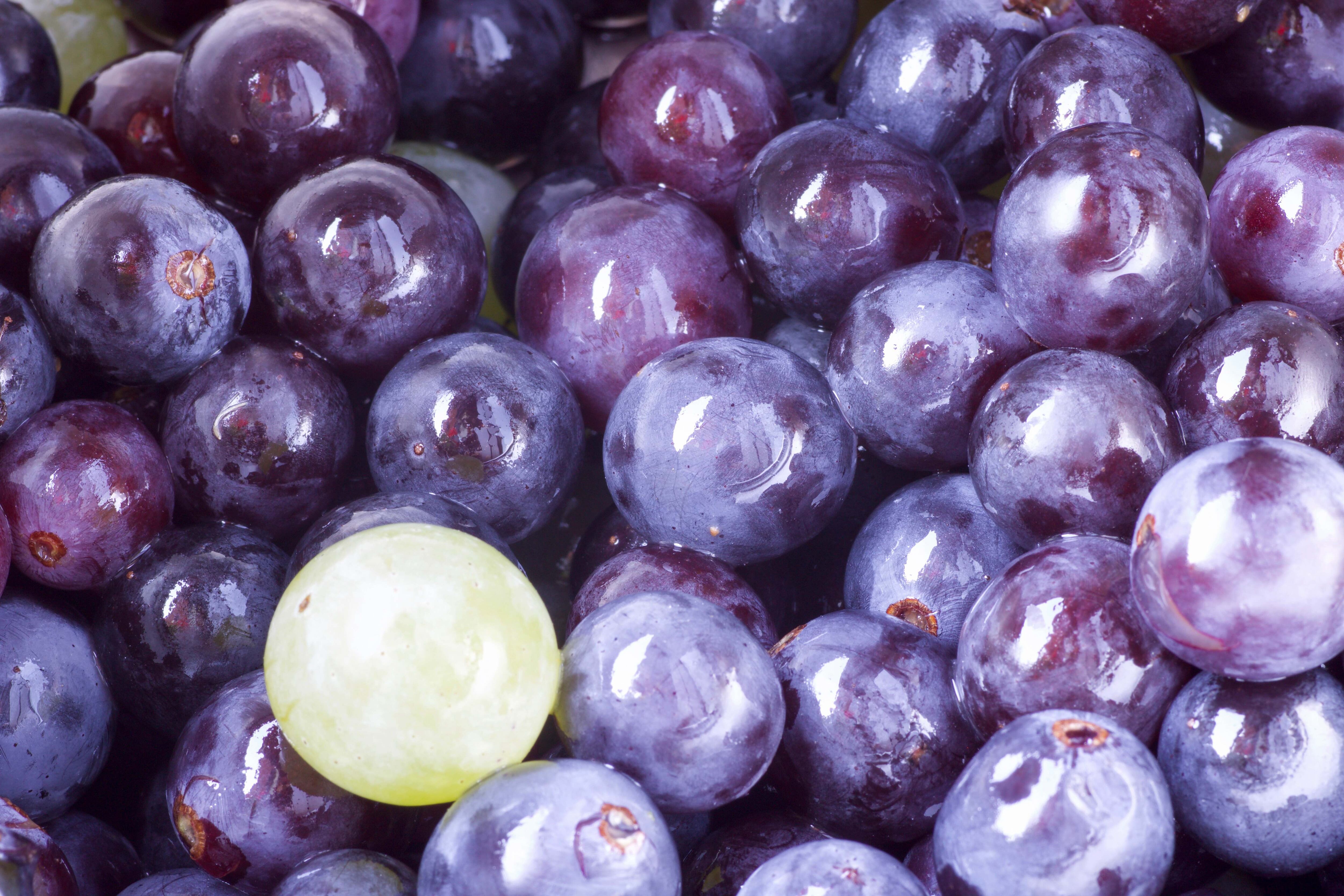 Review backs role of grape polyphenols in sports performance