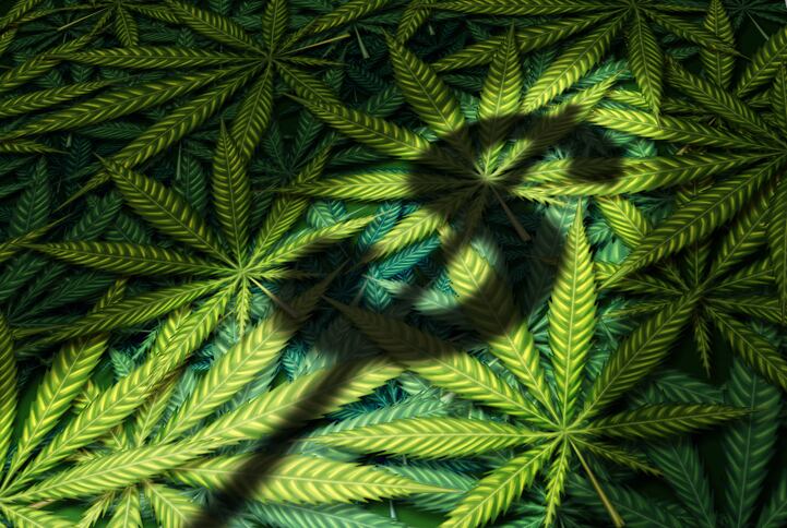 Molson-Coors-Cannabis-beverages-could-be-a-3bn-market-in-Canada.jpg