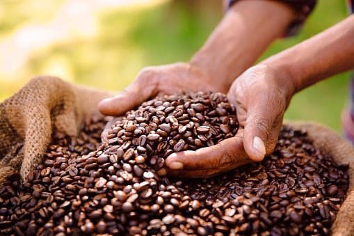 Nestle-aims-to-maximise-Malaysian-coffee-sector-potential-via-NESCAFE-sustainability-strategy.jpg