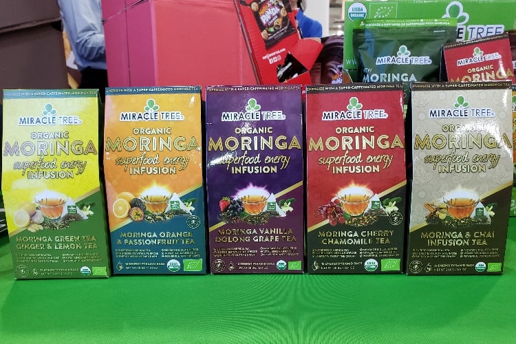 moringa-4.jpg