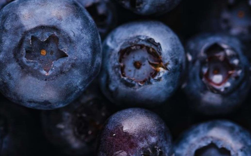 Omega Ingredients acquisition to boost UK and overseas growth