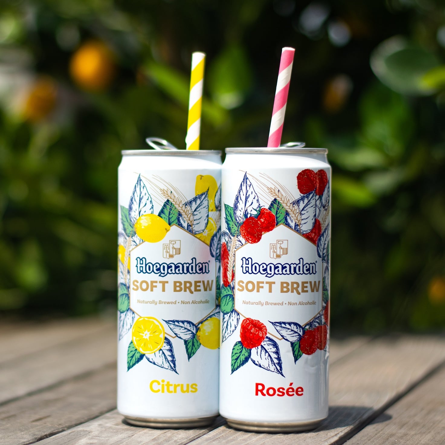Hoegaarden-soft-brew-main-3.jpg