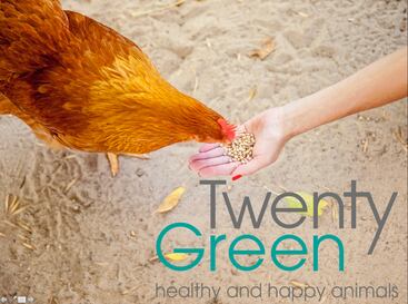TwentyGreen.png