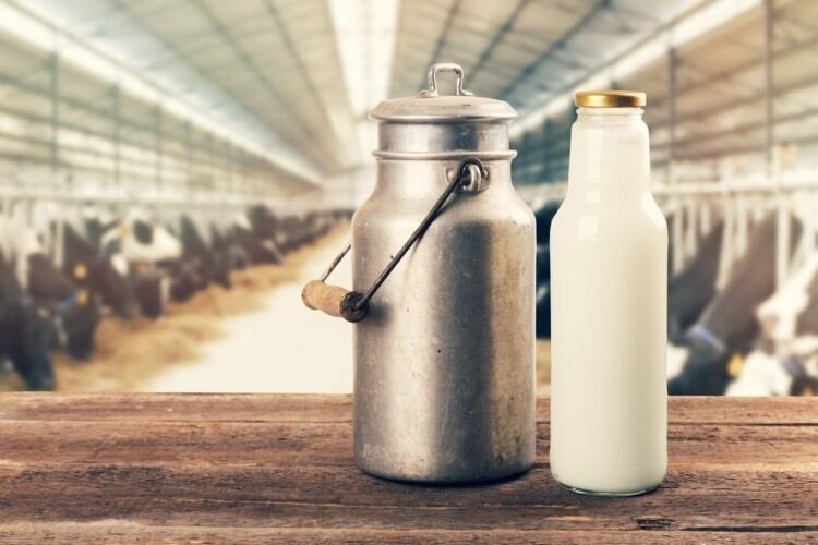 Propping up the bar: Tighter rules for China’s milk outlets to safeguard growing dairy consumption