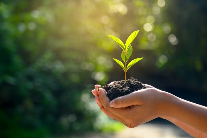 Diageo to achieve net zero carbon emissions by 2030