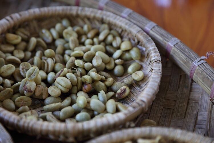 Replicating coffee ‘cupping’ with AI: Start-up tracks coffee quality from crop to cup