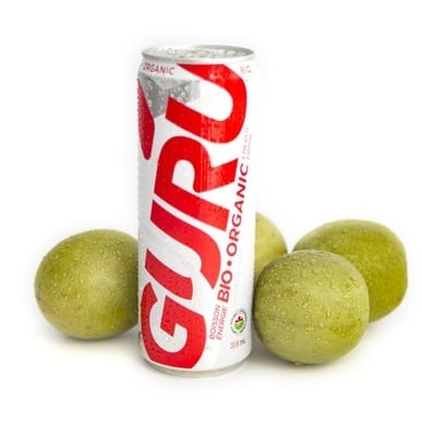Guru.jpg