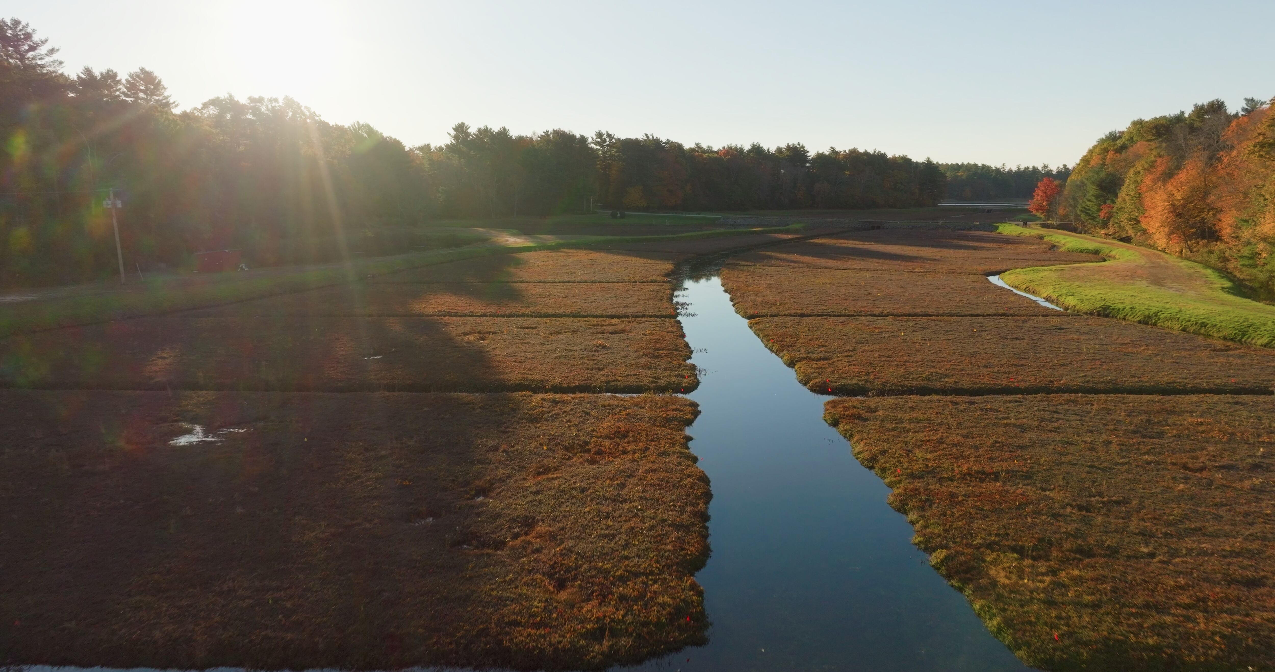 Ocean Spray is also expanding its reach through partnerships with private-label retailers like CVS.