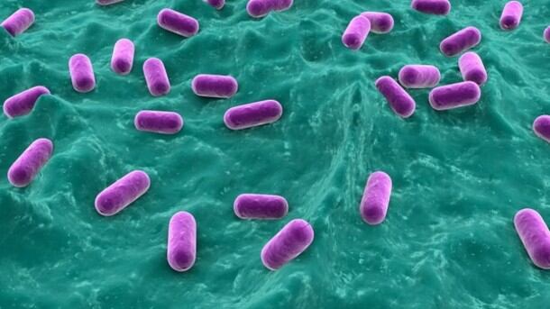 Probiotics.jpg