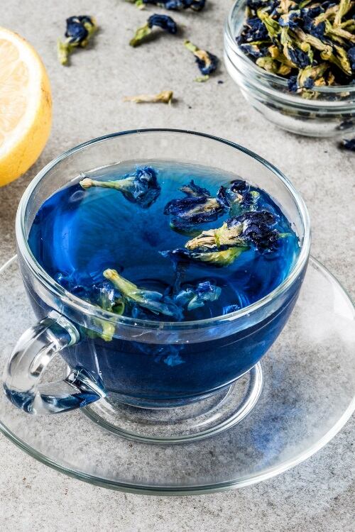 butterfly-pea.jpg